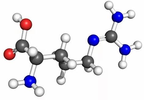 Arginine in Erogan capsules to improve potency
