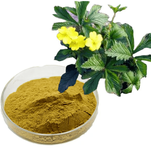 Damiana leaf extract - an important component of Erogan capsules