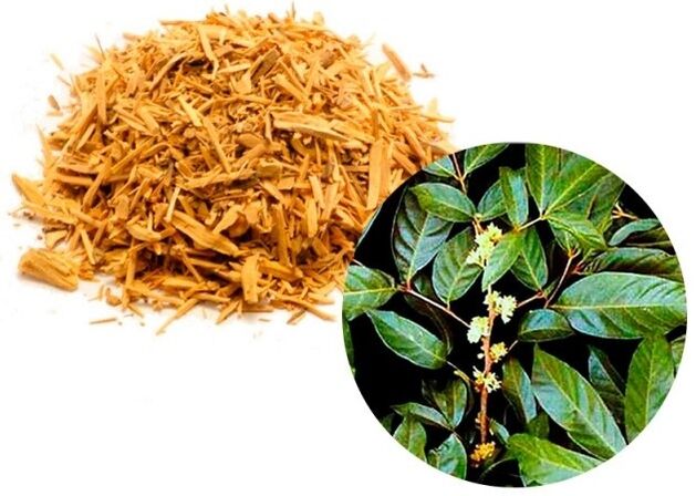 Muira Puama extract - the active ingredient of Erogan