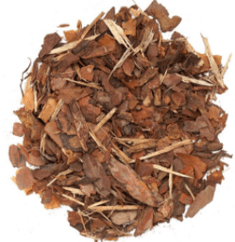 Pine bark extract in Erogan capsules has a positive effect on potency