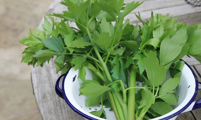 herb lovage for potency